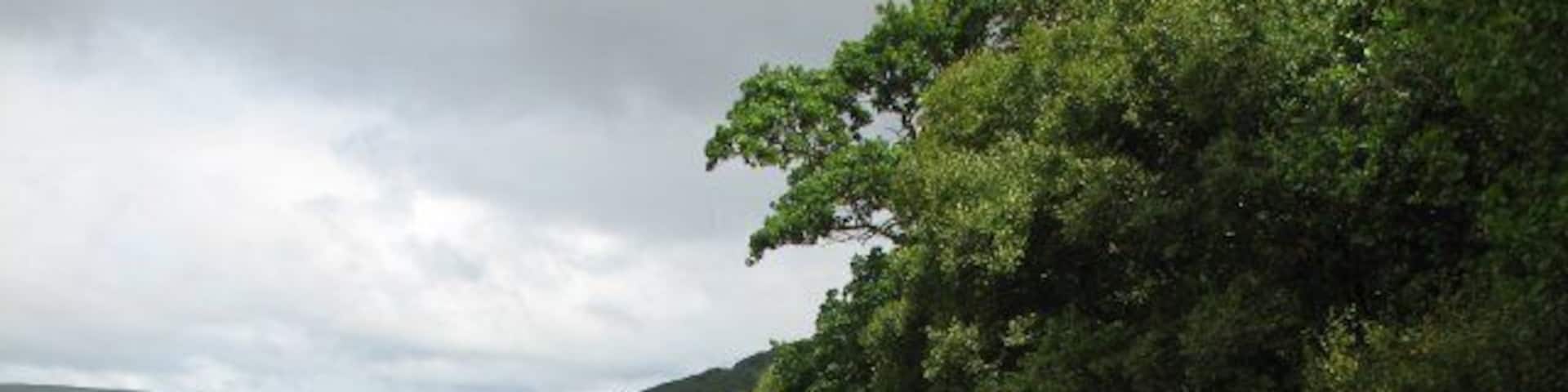 Loch Broom at Leckmelm The gardens at Leckmelm stretch down to the loch edge which may be accessed by a rhododendron covered path.