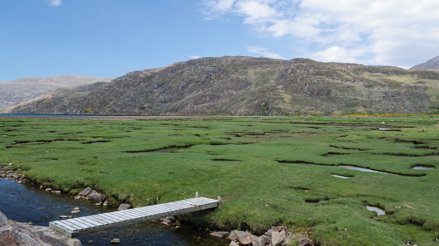 A grassy landscape with a small wooden bridge over a stream, leading to a body of water.