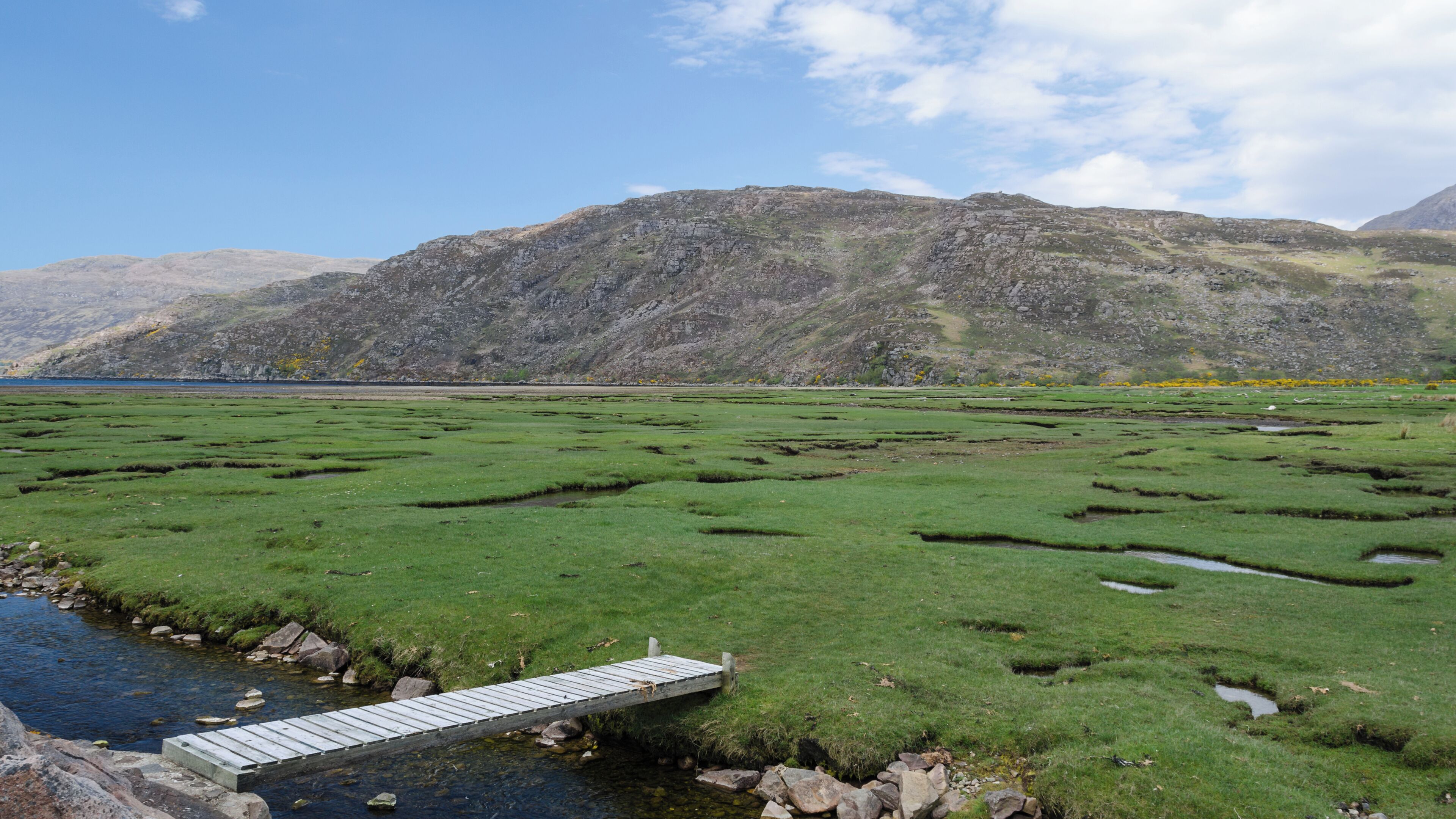 A grassy landscape with a small wooden bridge over a stream, leading to a body of water.