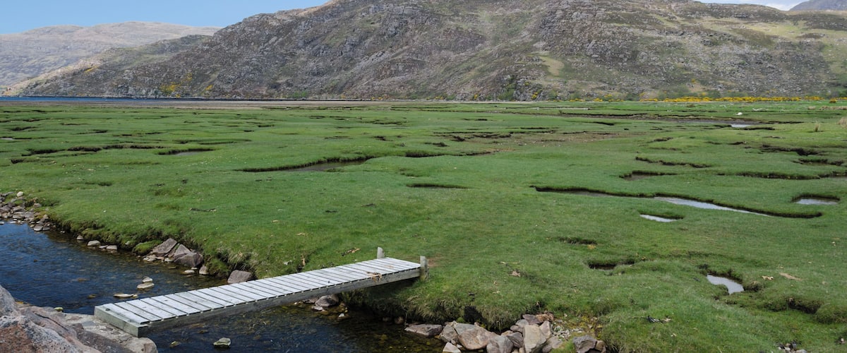 A grassy landscape with a small wooden bridge over a stream, leading to a body of water.