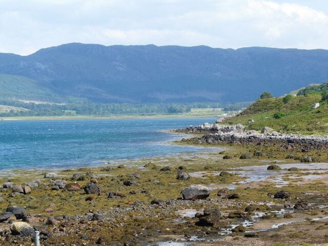 View from Maggies Tearoom