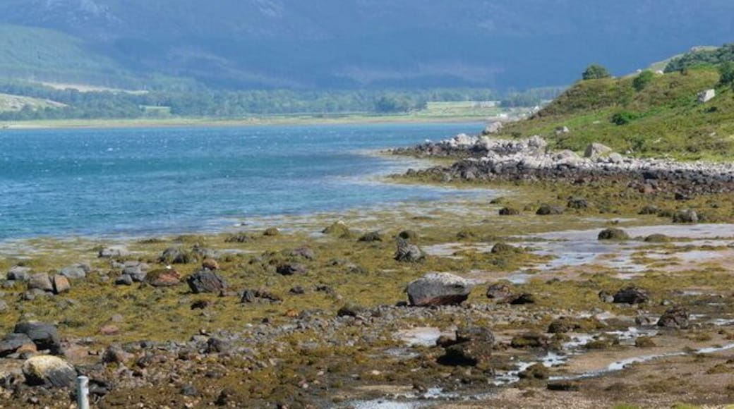 View from Maggies Tearoom
