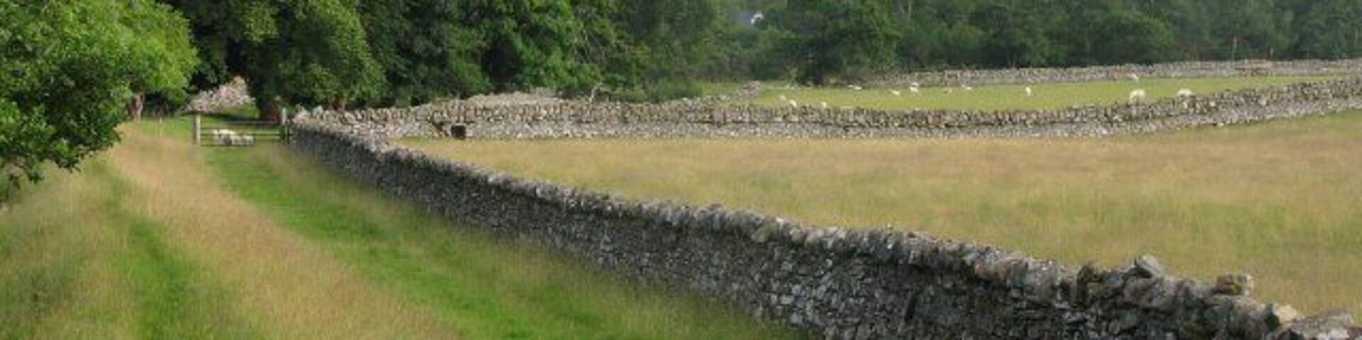 Fields at Auchindrean Quite a pastoral scene in the valley floor, contrasting with the hills that encircle the glen. The Fannichs can be seen rising to the south.