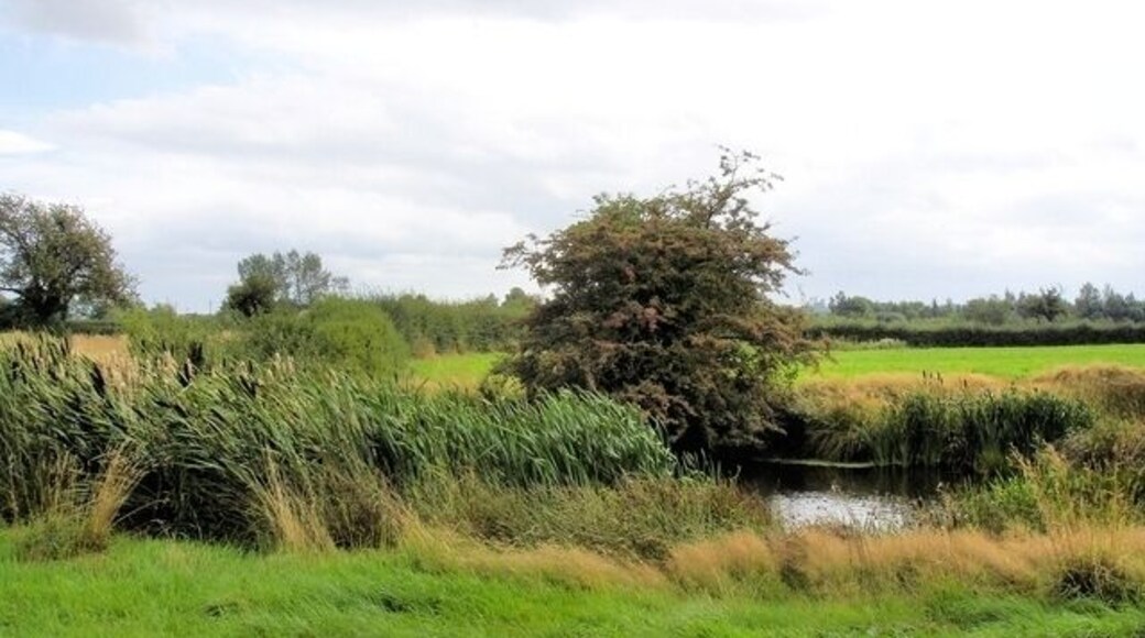 Rowton - footpath 5 Rowton - footpath 5 - pond near the Waverton parish boundary.