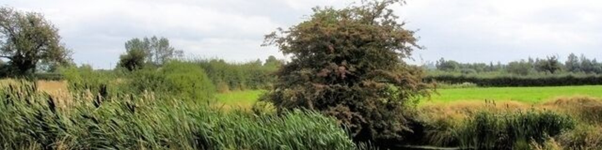 Rowton - footpath 5 Rowton - footpath 5 - pond near the Waverton parish boundary.