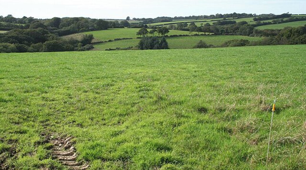 Oakford: above the Iron Mill Stream. Looking west towards Hurlsdon Moor