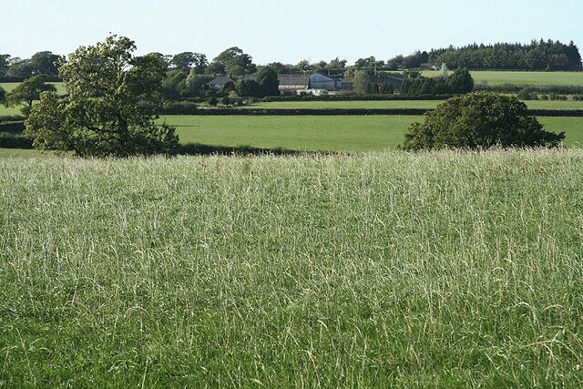 Witheridge: towards Broadridge Farm. Looking north-north-west