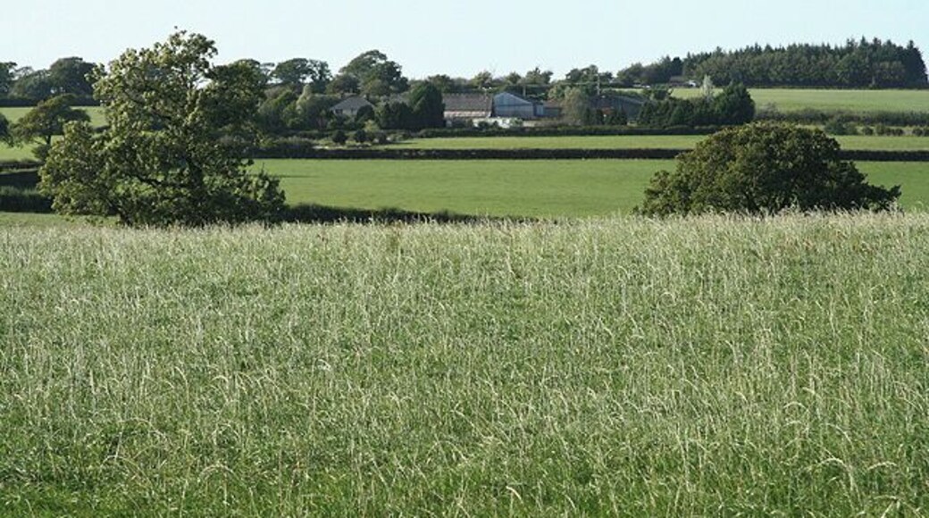 Witheridge: towards Broadridge Farm. Looking north-north-west