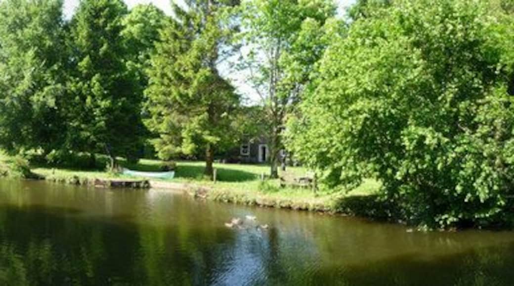 Mid Devon : Grand Western Canal Looking towards Rock Bridge with Rock House close by.