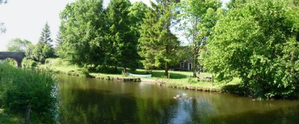 A calm river with a bridge, lush greenery, and a path.