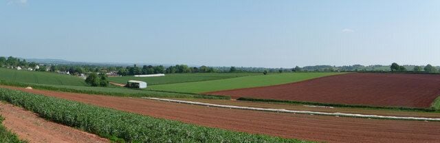 Mid Devon : Countryside & Fields Near Halberton