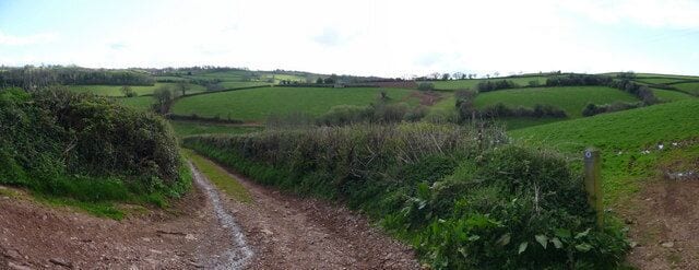 Mid Devon : Fulford Farm Track This is also a public footpath which takes a turn into the field on the right.