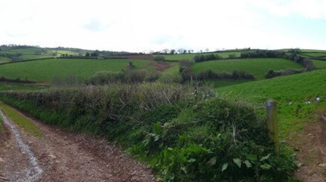 Mid Devon : Fulford Farm Track This is also a public footpath which takes a turn into the field on the right.