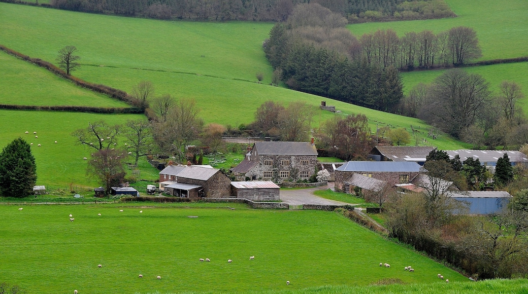 Nutcome Manor, Mid Devon