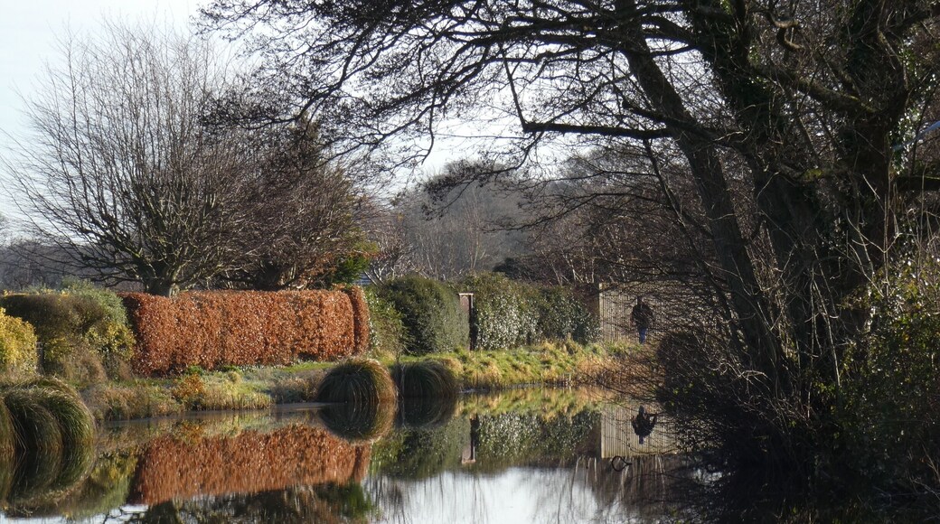 Grand Western Canal is 11 miles long with numerous access points.. The canal is both a Country Park and a Local Nature Reserve. It is home to some special wildlife; and is a perfect place to explore on foot, by wheelchair / mobility buggy, by bike or by boat.