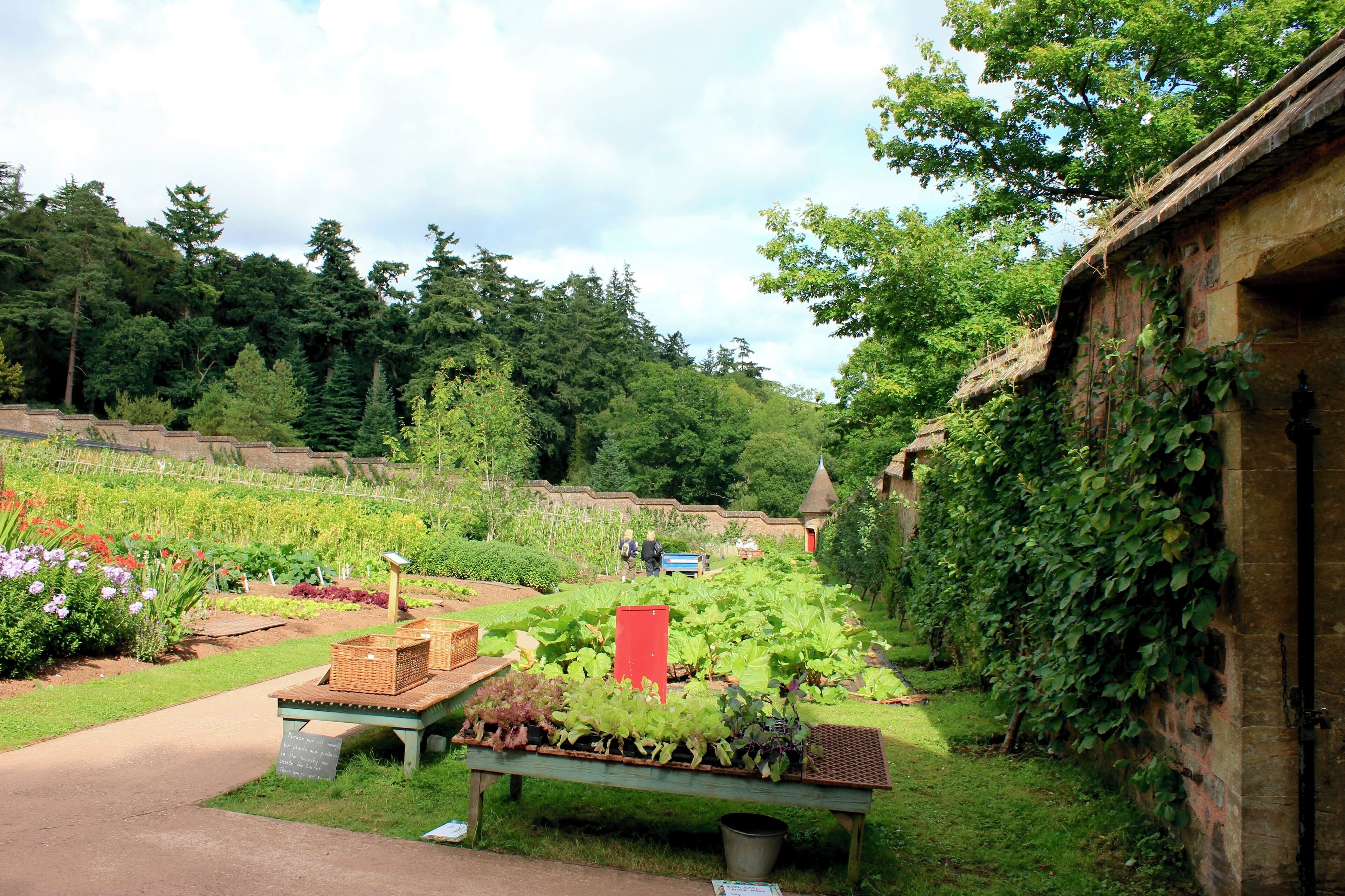 Inside the walled garden at Knightshayes.