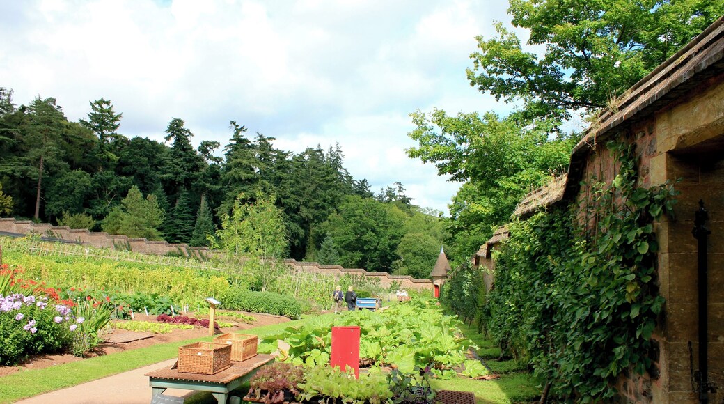 Inside the walled garden at Knightshayes.