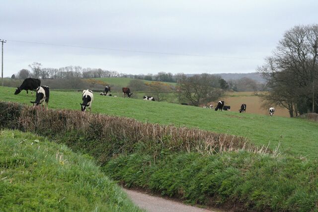 Burlescombe: near Penslade Farm The lane in the foreground leads to Southdown Cross. Looking east-north-east