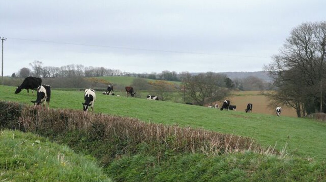 Burlescombe: near Penslade Farm The lane in the foreground leads to Southdown Cross. Looking east-north-east