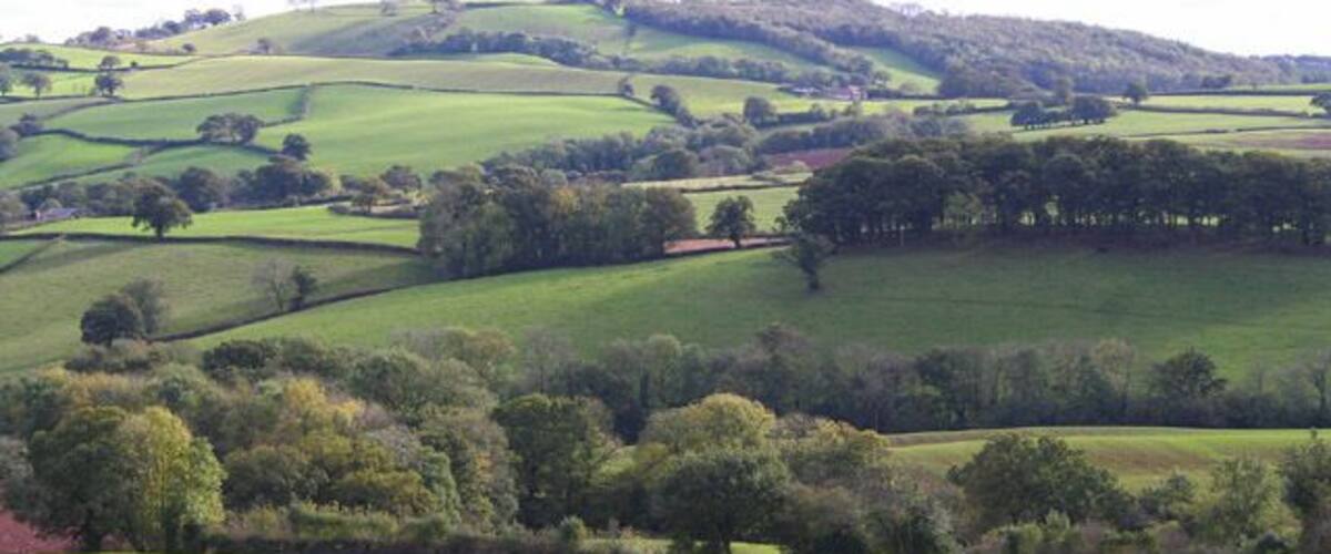Cheriton Fitzpaine: near Brindiwell. View south across a recently sown field at the entrance to West Farleigh
