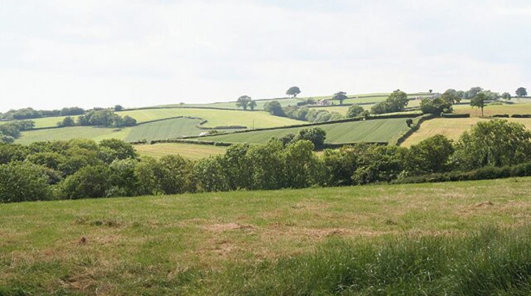 Washfield: by Middlehill. A view west-north-west towards Great Haydon and Haydon Hayes  buildings just visible near the skyline