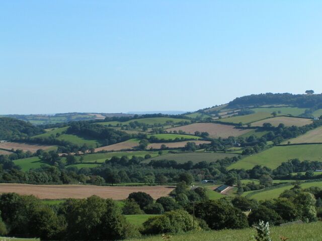 Fields near Cadeleigh