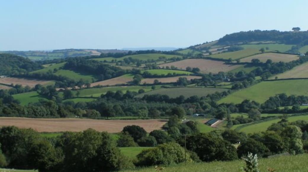Fields near Cadeleigh