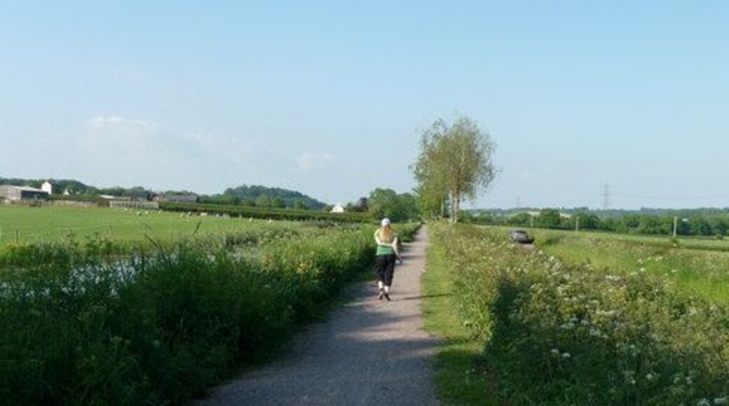 Mid Devon : Grand Western Canal & Countryside