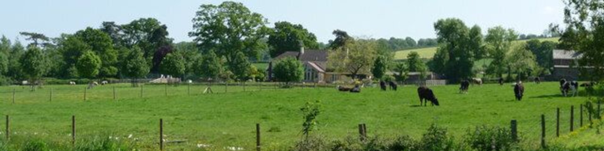 Mid Devon : Farm, Field, & Cows