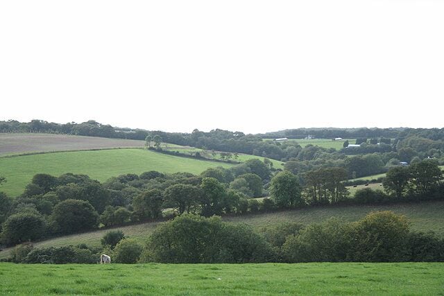Oakford: near Westcott Place. Looking west towards Bickham Barton