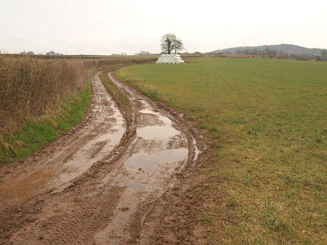 Track near the Devon border Name-wise, this is no man's land. The track, seen from the awkward Culmstock Footpath 29 (possibly awkward because it crosses a county boundary), passes a pile of bales on its way to the lane between Nicholashayne and Sampford Moor.