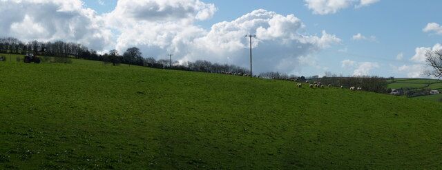 Mid Devon : Field & Sheep Herding Sheep are being herded into the next field by this tractor and the dog.