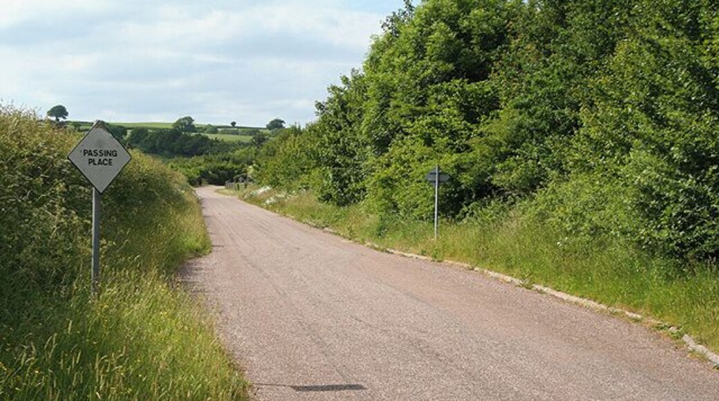 Loxbeare: lane near Buttermoor. The lane from Swinesbridge to Loxbeare was re-aligned here when the North Devon Link Road was constructed and now runs parallel to it, with passing places provided. Elsewhere the lane is much more narrow. Looking north west