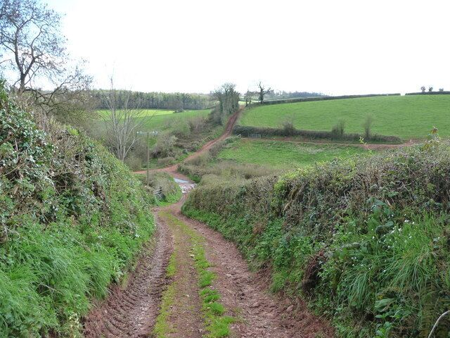 Un estrecho sendero rural con un arroyo que lo acompaña, rodeado de abundante vegetación y campos.