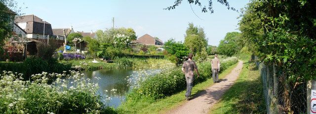 Sampford Peverell : Grand Western Canal