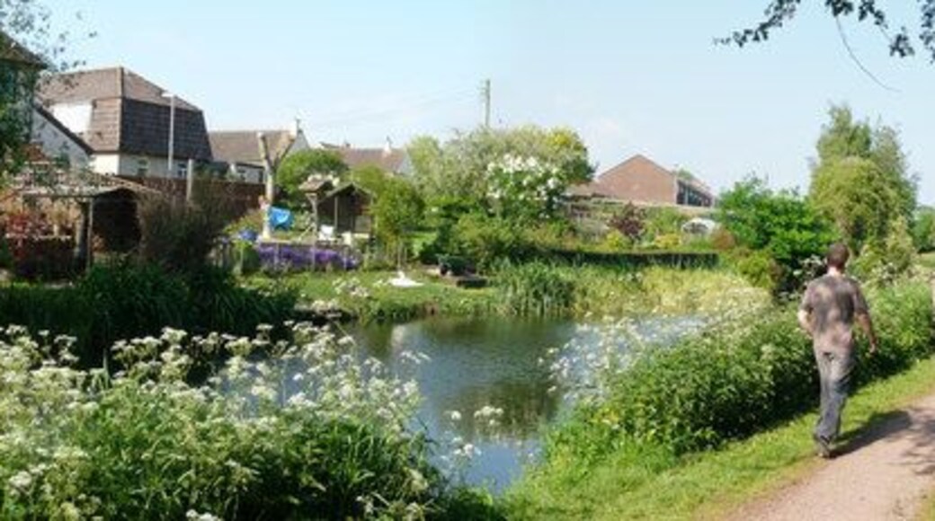 Sampford Peverell : Grand Western Canal