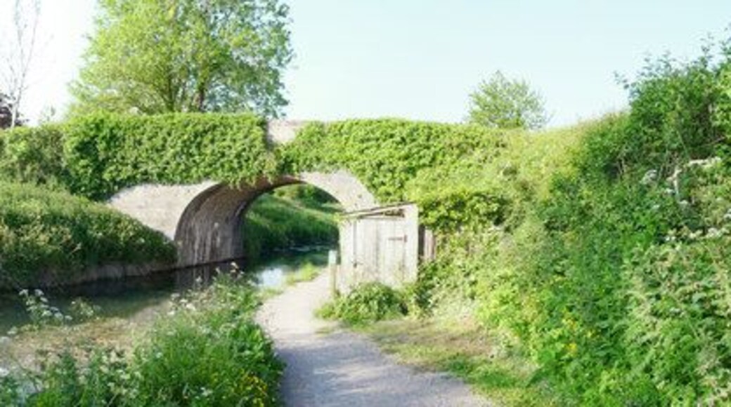 Mid Devon : Grand Western Canal & Ebear Bridge