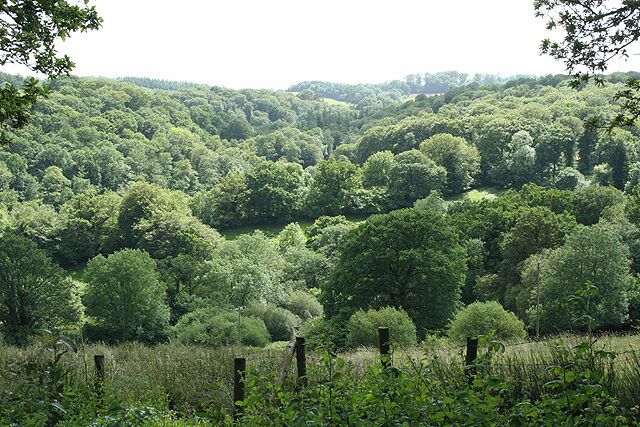 Templeton: the Dart valley. Seen from the entrance to The Old Rectory. A second valley runs down from Cruwys Morchard beyond. Looking south west
