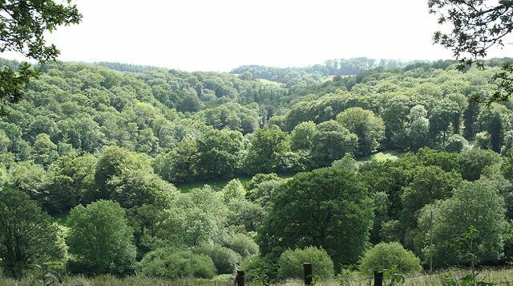 Templeton: the Dart valley. Seen from the entrance to The Old Rectory. A second valley runs down from Cruwys Morchard beyond. Looking south west