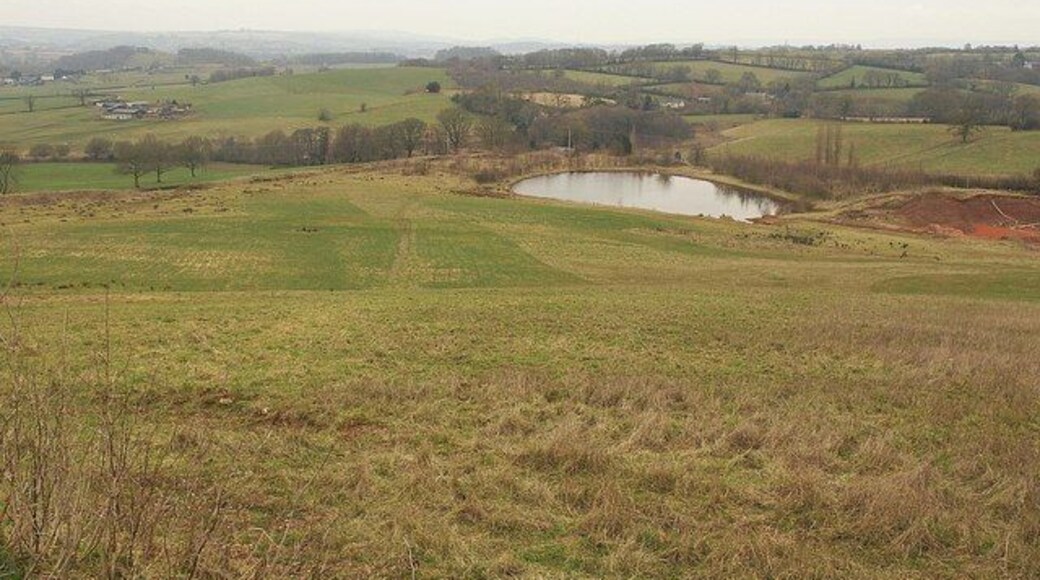 Pond, Town Farm Quarry The pond is at the northern corner of the Town Farm Quarry site, east of Burlescombe. The Eastbrook valley beyond is in ST0717 / ST0817. View from the C102.