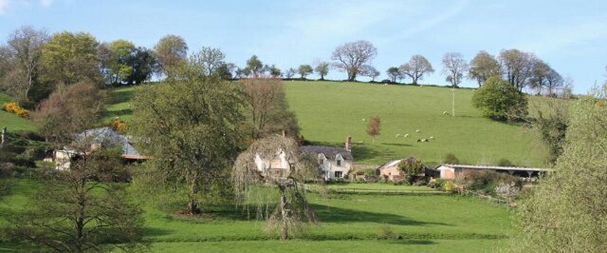 Un paisaje de colinas verdes con casas y árboles dispersos.