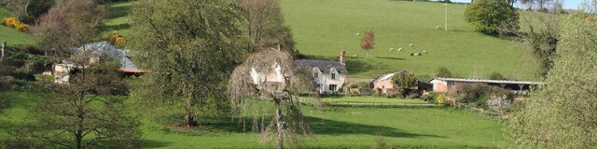 Un paisaje de colinas verdes con casas y árboles dispersos.