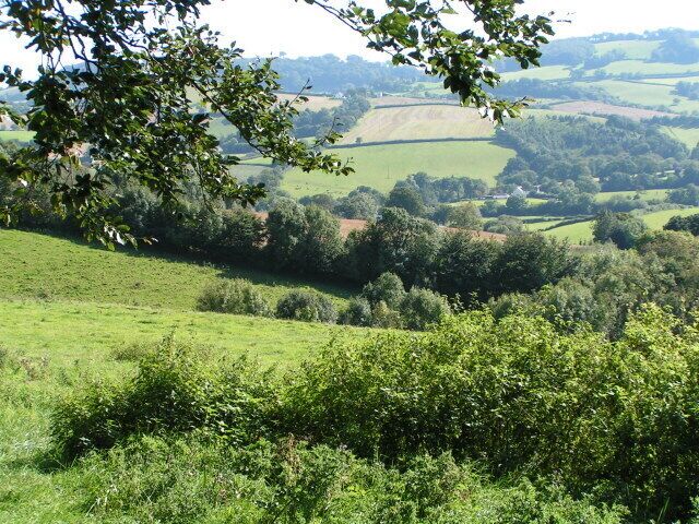 Fields near Cadeleigh