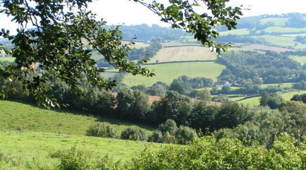 Fields near Cadeleigh