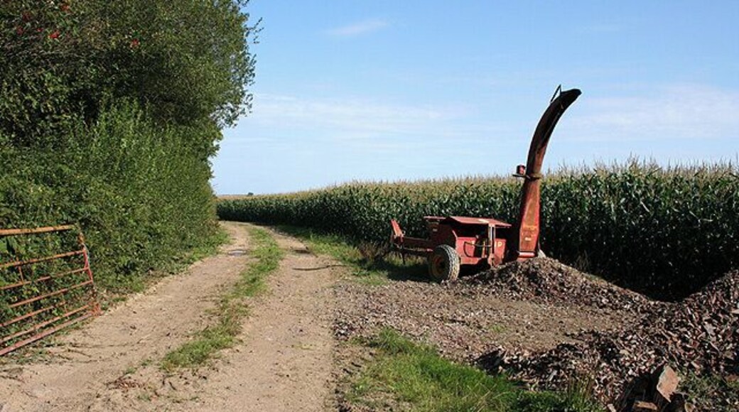 Templeton: Landfoot Moor. Track by a field of maize. Looking east-south-east. A parked forage harvester (could be a Taarup machine, but unsure).