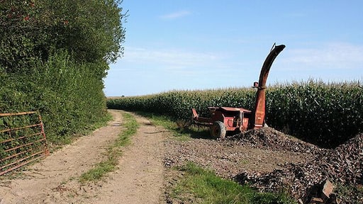Templeton: Landfoot Moor. Track by a field of maize. Looking east-south-east. A parked forage harvester (could be a Taarup machine, but unsure).