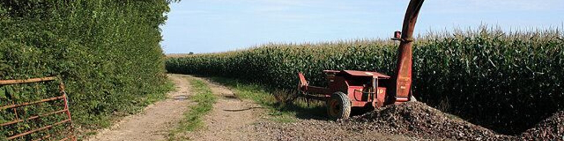 Templeton: Landfoot Moor. Track by a field of maize. Looking east-south-east. A parked forage harvester (could be a Taarup machine, but unsure).