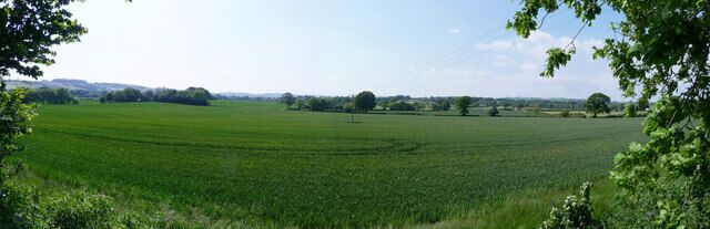 Mid Devon : Grassy Field & Countryside