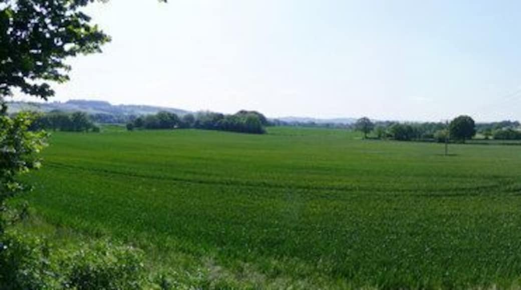 Mid Devon : Grassy Field & Countryside