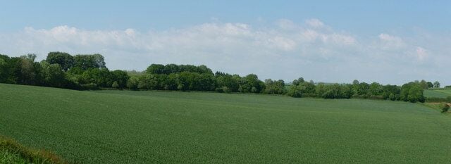 Mid Devon : Grassy Field & Countryside